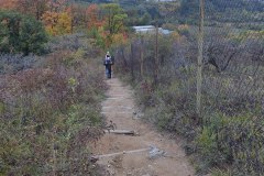 IMG_20201018_173937247