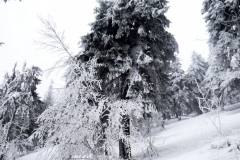 201303_Pustevny_Horni_Bevca_00002