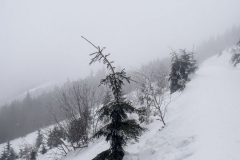 201303_Pustevny_Horni_Bevca_00004