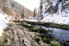 201303_Vir_00002