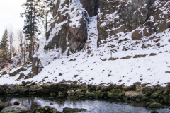 201303_Vir_00004