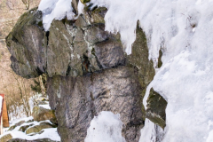 201303_Vir_00007