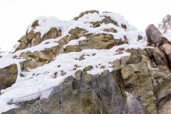 201303_Vir_00008