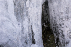 201303_Vir_00011
