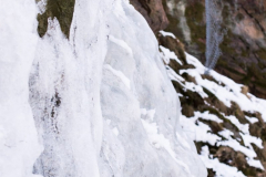 201303_Vir_00012