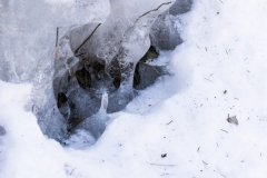 201303_Vir_00014