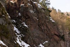 201303_Vir_00015