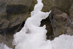201303_Vir_00016