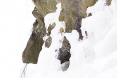 201303_Vir_00018