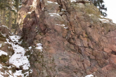 201303_Vir_00019