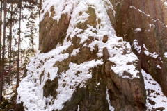 201303_Vir_00021