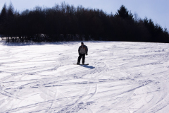 201304_Dalecin_00005
