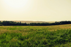 201305_Veselice_Observation_Tower_00043