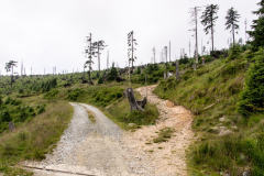 201307_Kralicky_Sneznik_00007