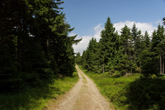 201307_Kralicky_Sneznik_00015