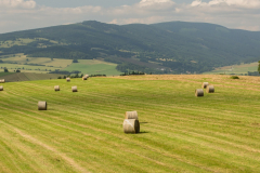 201307_Kralicky_Sneznik_00022