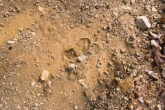 201309_Cebinka_00014