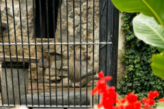 201309_Kromeriz_00005