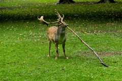 201309_Kromeriz_00013