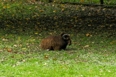 201309_Kromeriz_00015