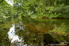 201408_Mohelno_Dalesice_00006