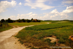 201408_Trenckova_Rokle_00021