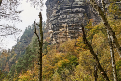 201411_Ceske_Svycarsko_00021