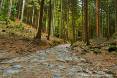 201411_Ceske_Svycarsko_00028