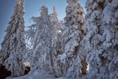 201502_Jeseniky_Praded_00005