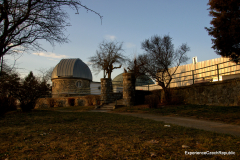 201503_Brno_Kravi_hora_00003