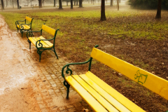 Luzanky Park