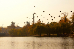 202003_Budapest_0012