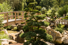 Zoo Zlin Zen Garden Japanese