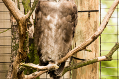 Zoo Zlin