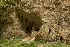 Cave Moravian Karst