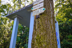 Lookout Tower Kamenny Vrch