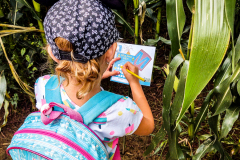 202008_CornMaze-1