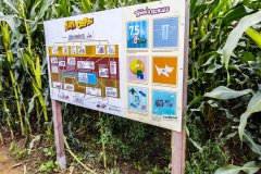 202008_CornMaze-5