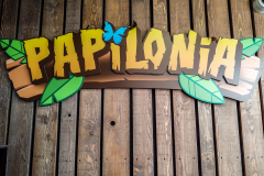 202008_Papilonia-7