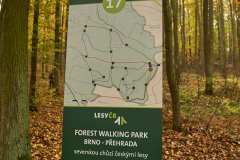Forest Walking Bno