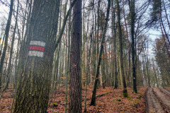 Red tourist path in Brno Sobesicee