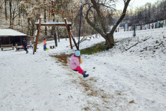 Neslovice