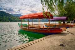 EEWeb_Slovenia_Bled_GGP06780