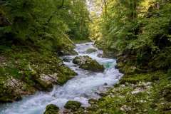 GGP_Slovenia_Vintgar_GGP06697
