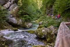GGP_Slovenia_Vintgar_GGP06714