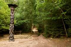 EEWeb_Prachovske_Skaly_GGP07617