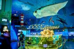 SeaWorld Prague