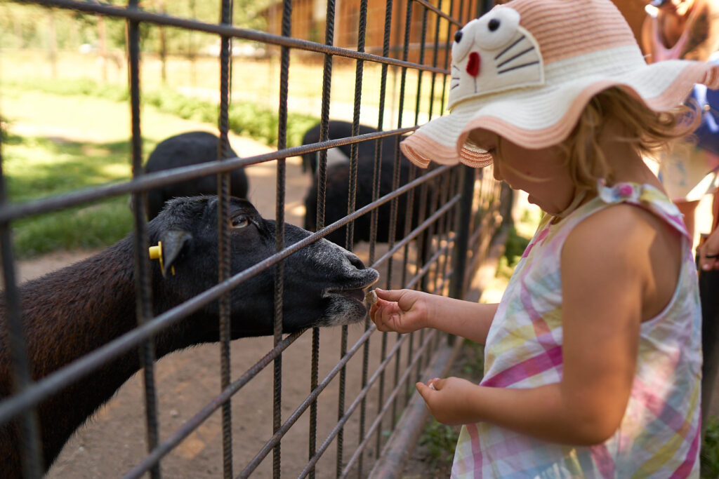 Hodonin Zoo