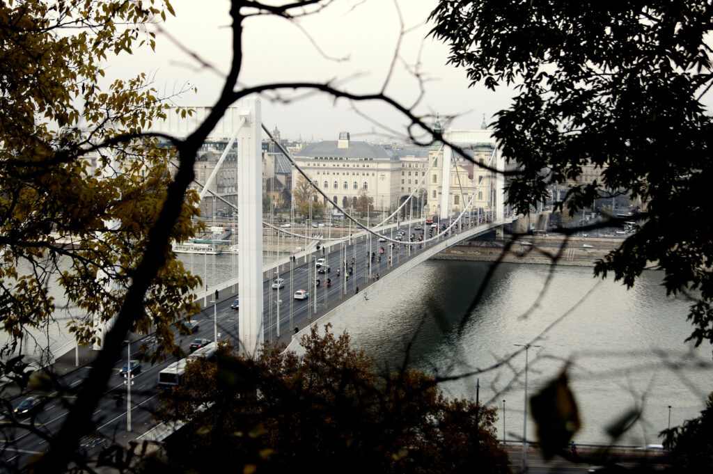 Elizabeth Bridge, Budapest
