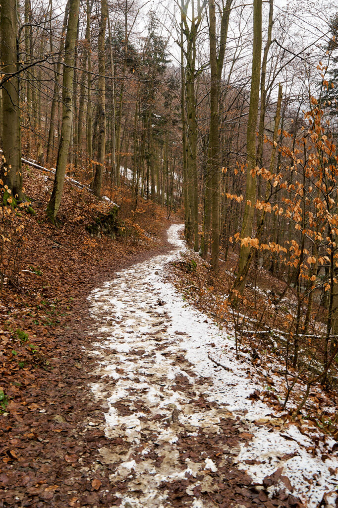 Blue path between Jachymka cave and old ironworks